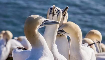 开云体育链接-高科技赛车空气动力学:减少阻力的秘密,f1赛车空气动力学