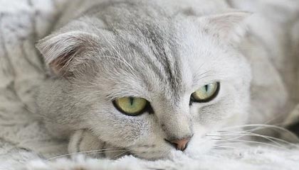 开云体育链接-高科技赛车空气动力学：减少阻力的秘密，f1赛车空气动力学